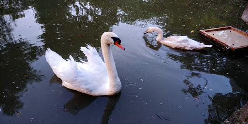 Performing Arts Theater «Prairie Center For the Arts», reviews and photos, 201 Schaumburg Ct, Schaumburg, IL 60193, USA