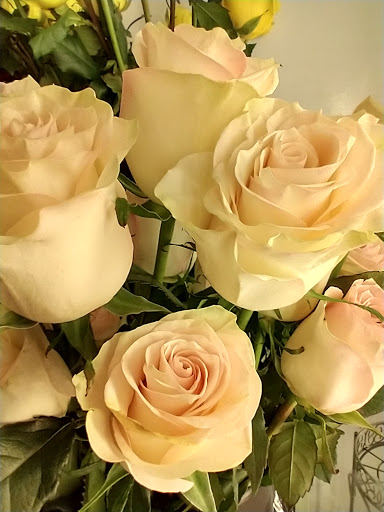 Florist «Grace Harper Florist, Inc.», reviews and photos, 4135 Woodward Ave, Detroit, MI 48201, USA