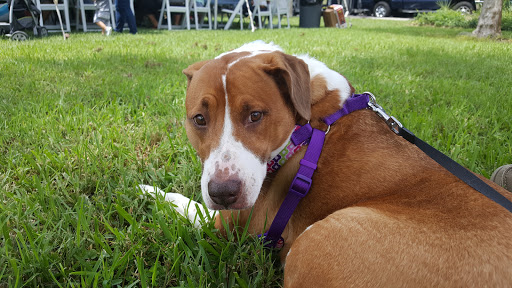 Park «R E Olds Park», reviews and photos, 107 Shore Dr W, Oldsmar, FL 34677, USA