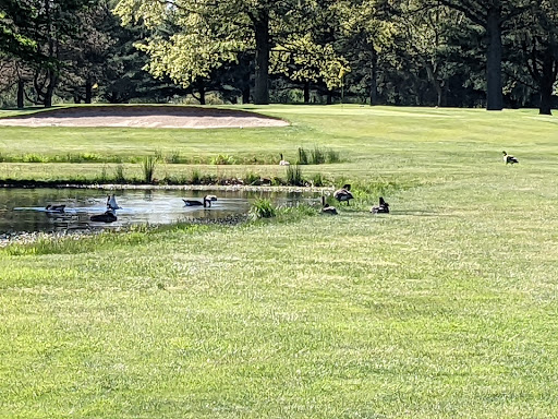 Golf Course «Windmill Lakes Golf Course», reviews and photos, 6544 OH-14, Ravenna, OH 44266, USA