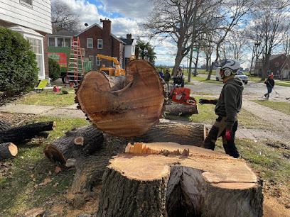 Metro Detroit Tree and Firewood