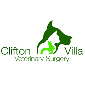 Comments and reviews of Clifton Villa Veterinary Surgery - Ruan Highlanes