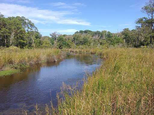 Non-Profit Organization «Corolla Wild Horse Fund», reviews and photos, 1129 Corolla Village Rd, Corolla, NC 27927, USA