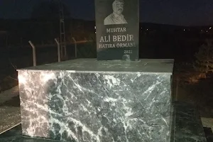 Ali Bedir Hatıra Ormanı Parkı image