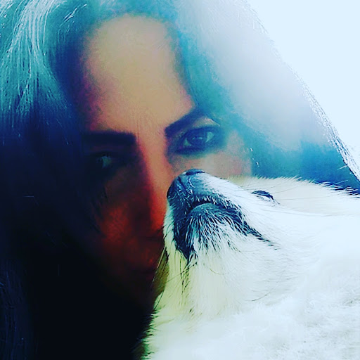 Pet Supply Store «Petco Animal Supplies», reviews and photos, 2353 Myers St, Oroville, CA 95966, USA