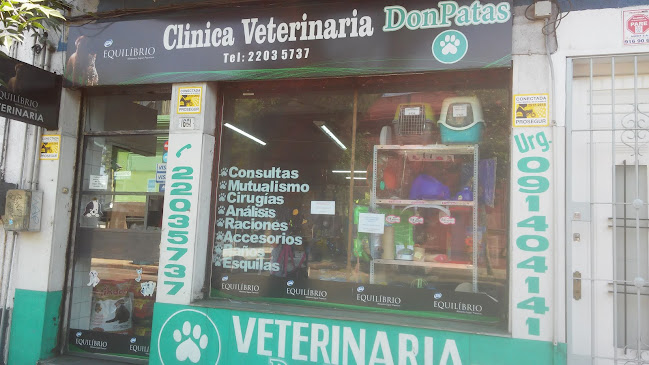 Clinica Veterinaria Don Patas - Veterinario