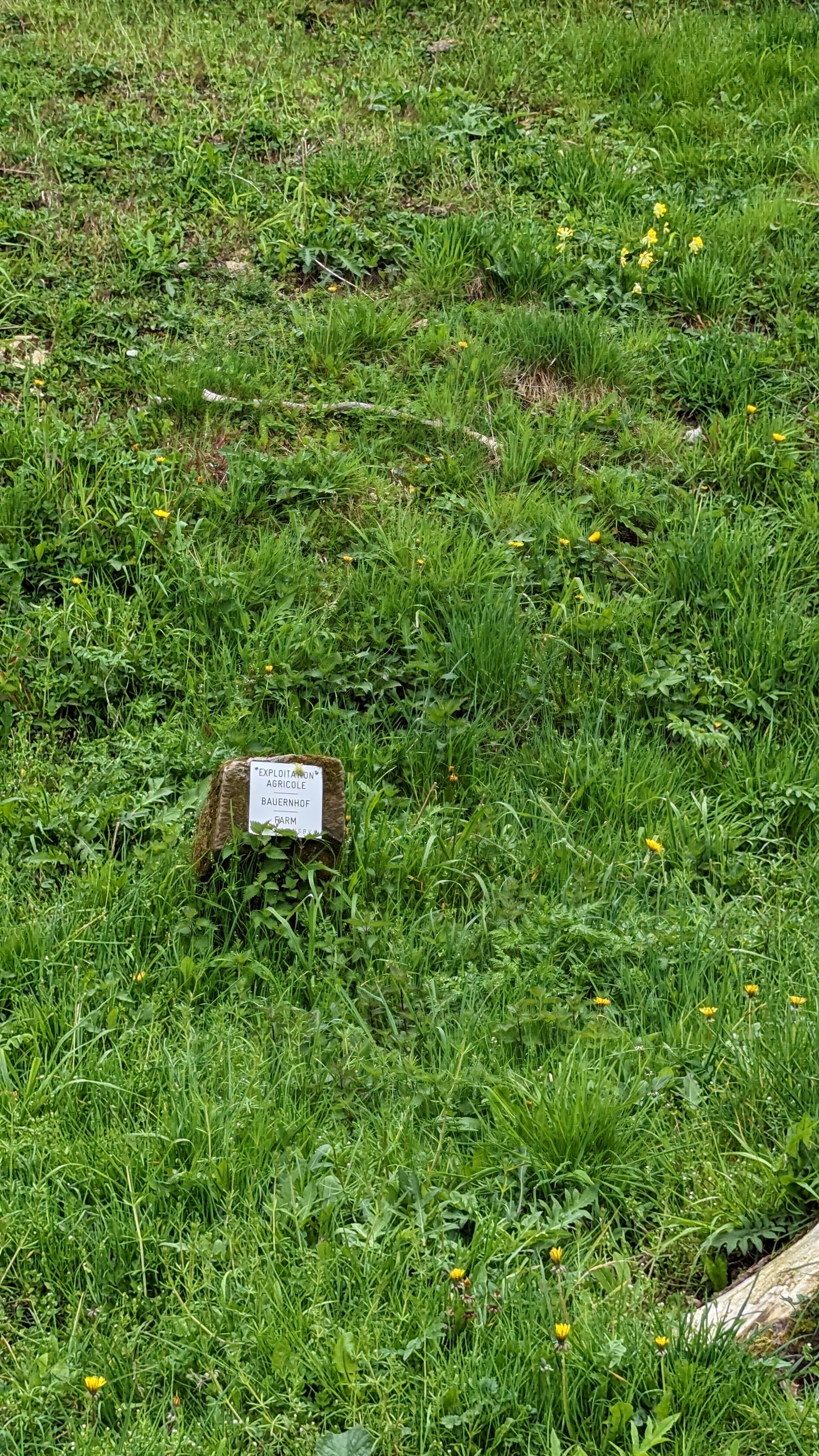 Photo n° 6 de l'avis de Jörg.e fait le 08/05/2023 à 16:19