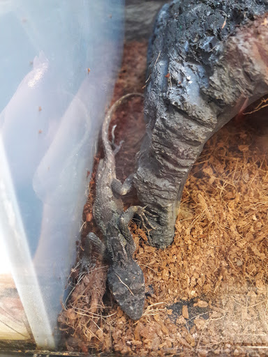 Pet Supply Store «Petco Animal Supplies», reviews and photos, 2765 Santa Rosa Ave, Santa Rosa, CA 95407, USA