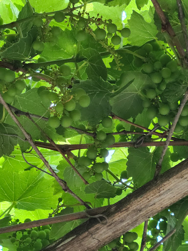 Liquor Store «Heritage Winery & Cheese Haus», reviews and photos, 4402 220th Trail, Amana, IA 52203, USA