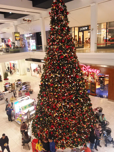 Shopping Mall «Westfield Fashion Square», reviews and photos, 14006 Riverside Dr, Sherman Oaks, CA 91423, USA