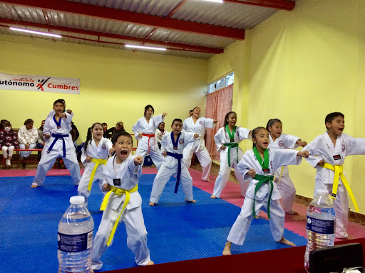 Instituto Autonomo de Taekwondo Cumbres