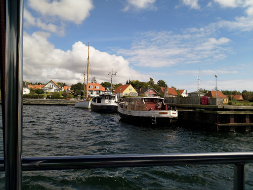 Nysted Sealsafari in Nysted, Guldborgsund
