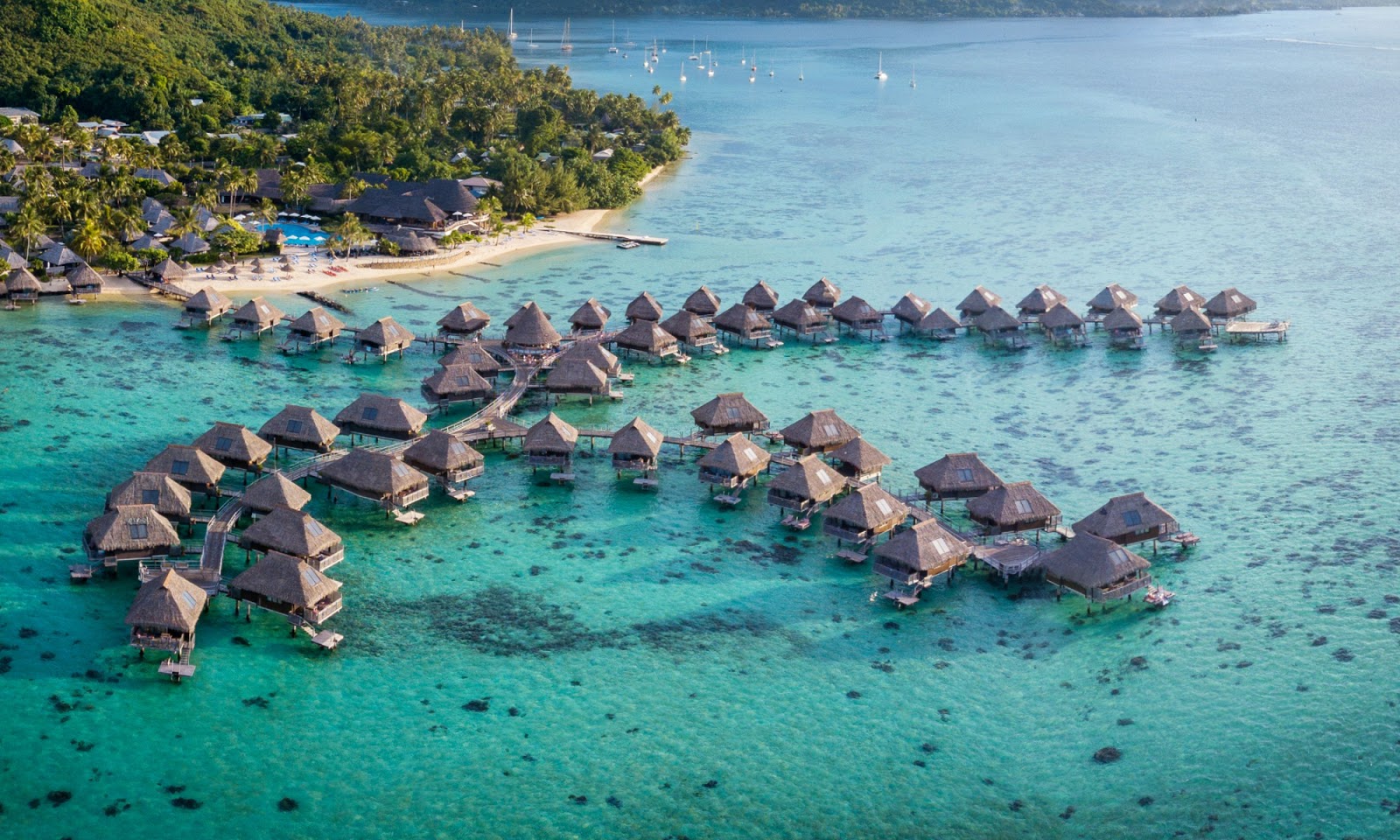 Foto von Hilton Moorea mit geräumige küstenlinie