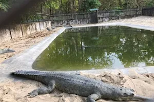 Crocodile Park, Muta image