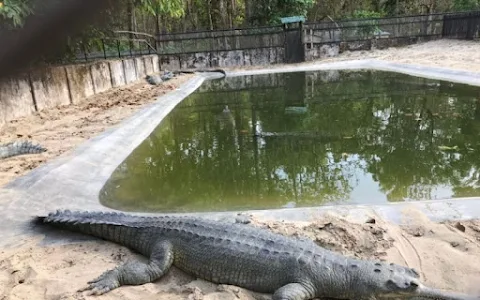 Crocodile Park, Muta image