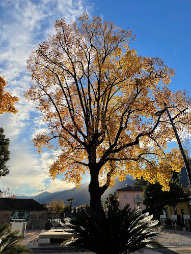 Piazza Caglioni, 6612 Ascona, Schweiz