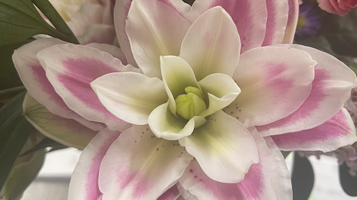 Florist «Artistic Florist Of Tampa», reviews and photos, 2509 W Busch Blvd, Tampa, FL 33618, USA