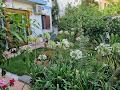 Photo Bed & Breakfast Angolo verde 09170 Oristano (miniature)