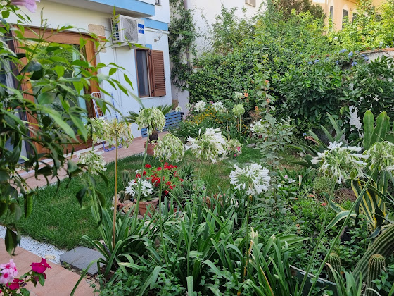 Photo Bed & Breakfast Angolo verde 09170 Oristano