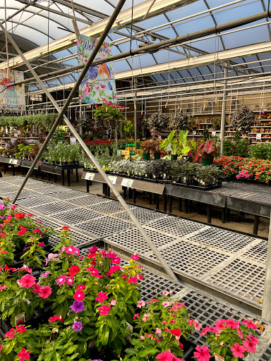 Garden Center «Stauffers of Kissel Hill Home & Garden Store», reviews and photos, 4450 Lincoln Hwy, York, PA 17406, USA