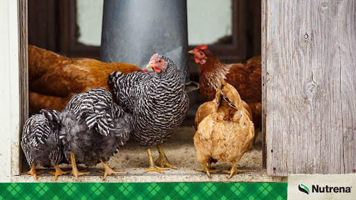 Pet Supply Store «Farmside Supplies Inc», reviews and photos, 15 Loomis Ave, Sussex, NJ 07461, USA