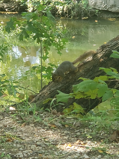 Performing Arts Theater «Kalita Humphreys Theatre», reviews and photos, 3636 Turtle Creek Blvd, Dallas, TX 75204, USA