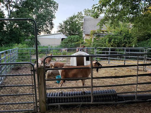 Farm «B & B Flower Farm», reviews and photos, 668 Jones Hill Rd, West Haven, CT 06516, USA