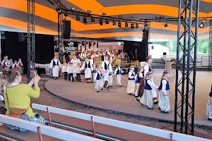 Kaustinen Folk Music Festival image