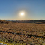 Photo n°1 de l'avis de Tullio.e fait le 24/08/2021 à 07:06 sur le  Ristorante Pizzeria La Capannina à Siena