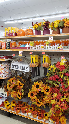 Dollar Store «FAMILY DOLLAR», reviews and photos, 440 N Franklin St, Holbrook, MA 02343, USA