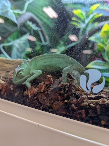 Pet Supply Store «PetSmart», reviews and photos, 8537 W Grand River Ave, Brighton, MI 48116, USA