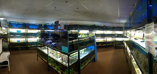 Reptile shops in Nottingham