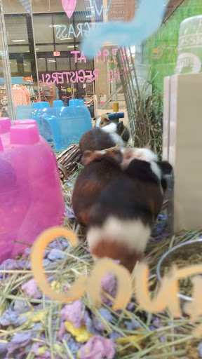 Pet Supply Store «PetSmart», reviews and photos, 5200 W Main St, Kalamazoo, MI 49009, USA