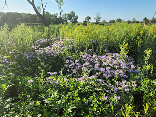 Nature Preserve «Nippersink Forest Preserve», reviews and photos, 900 W Belvidere Rd, Round Lake, IL 60073, USA