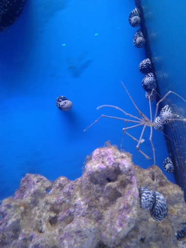 Tropical Fish Store «Scranton Aquarium», reviews and photos, 1819 Sanderson Ave, Scranton, PA 18509, USA