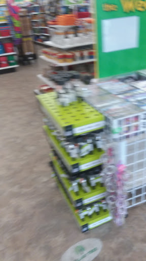 Dollar Store «Dollar Tree», reviews and photos, 16 N Main St, Ellenville, NY 12428, USA