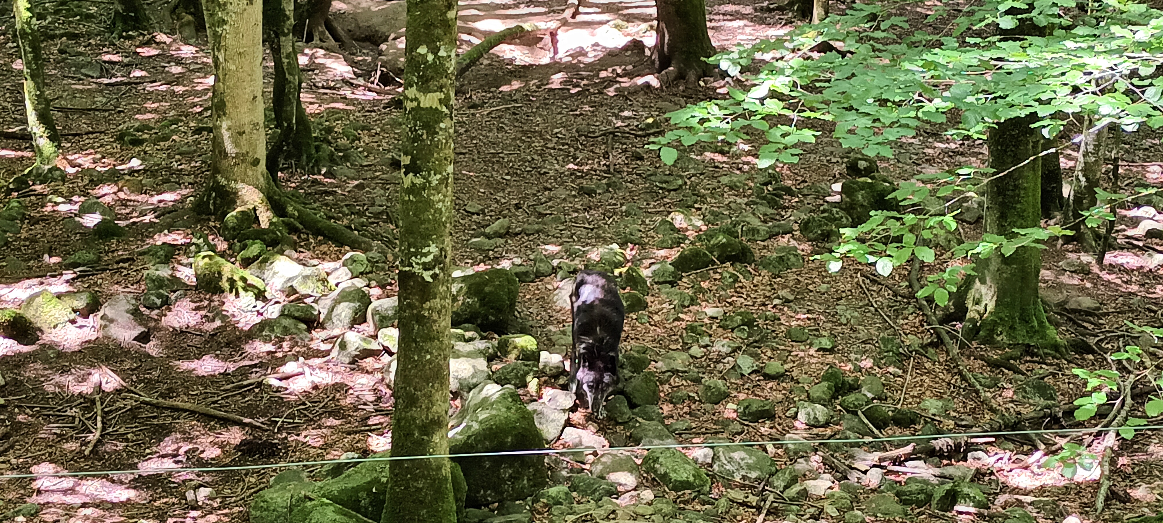 Photo n° 3 de l'avis de Thierry.R fait le 12/07/2022 à 05:49