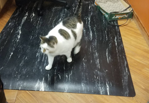 Pet Supply Store «EarthWise Pet Supply», reviews and photos, 11328 Montgomery Rd, Cincinnati, OH 45249, USA