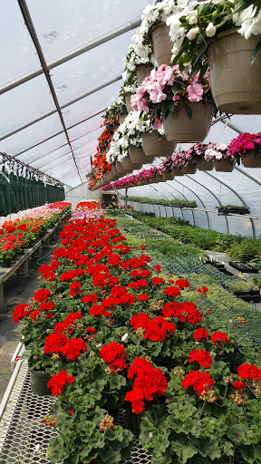 Garden Center «Woodland Gardens», reviews and photos, 168 Woodland St, Manchester, CT 06042, USA