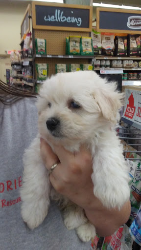 Pet Supply Store «Petco Animal Supplies», reviews and photos, 5717 Plank Rd, Fredericksburg, VA 22407, USA