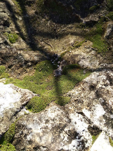 Park «Oakwell TrailHead Park», reviews and photos, 150 Ira Lee Rd, San Antonio, TX 78218, USA