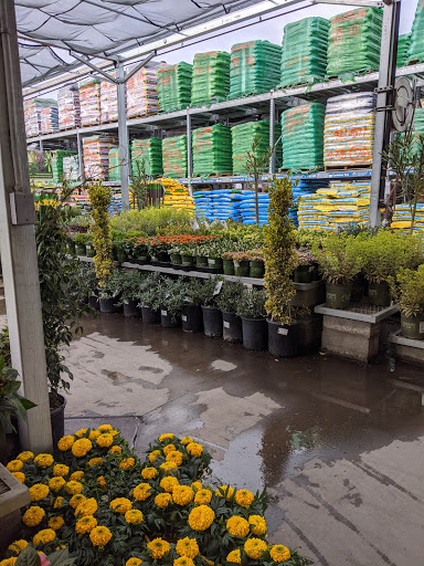 Home Improvement Store «The Home Depot», reviews and photos, 2960 Reynolds Ranch Pkwy, Lodi, CA 95240, USA