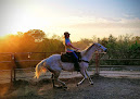 Best Places To Ride A Horse In San Antonio Near You