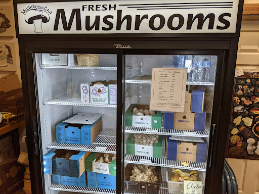 Gift Shop «The Mushroom Cap», reviews and photos, 114 W State St, Kennett Square, PA 19348, USA