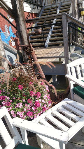 Whale Watching Tour Agency «Bar Harbor Whale Watch Co», reviews and photos, 1 West St, Bar Harbor, ME 04609, USA