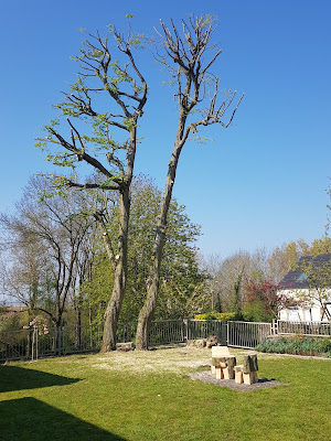 Bois paysage à Monthyon
