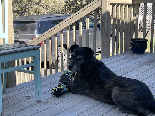 Prineville Pet Boarding & Grooming