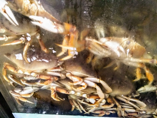 Asian Grocery Store «Vinh Phat Market», reviews and photos, 6105 Stockton Blvd, Sacramento, CA 95824, USA