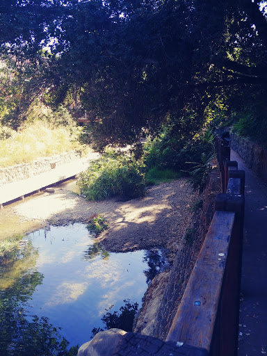 Eclectic Restaurant «Novo Restaurant & Lounge», reviews and photos, 726 Higuera St, San Luis Obispo, CA 93401, USA