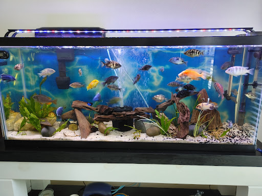 Pet Supply Store «Pet Supplies Plus», reviews and photos, 2928 Hardrock Rd, Fitchburg, WI 53719, USA